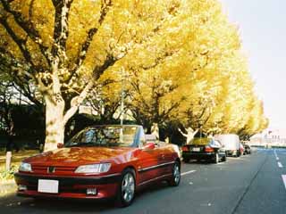 Peugeot 306 Cabriolet (red)