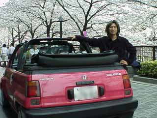 Honda City Cabriolet (Pink)